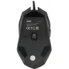 Мышь Acer OMW170 черный оптическая 3200dpi USB 6but (ZL.MCEEE.00R)