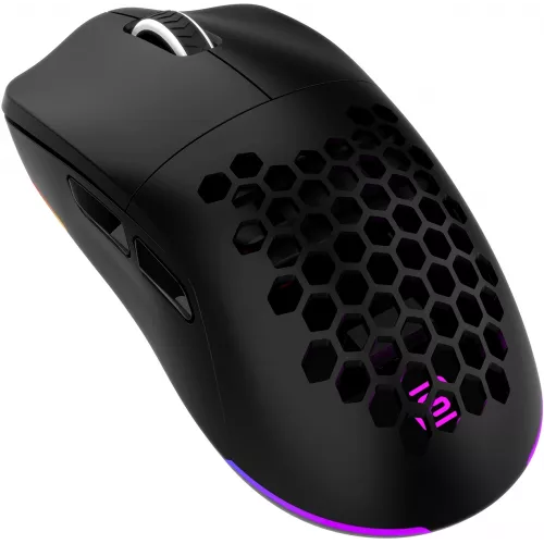 Мышь Оклик 900GMW черный оптическая 26000dpi беспров. BT/Radio USB 6but (1796786)