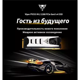 Накопитель SSD Patriot PCIe 5.0 x4 1TB PV553P1TBM28H PV553 M.2 2280