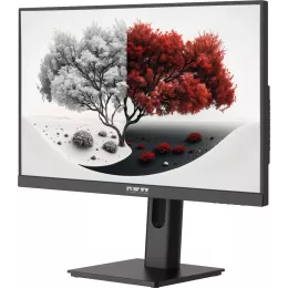 Монитор RDW Computers 23.8" RDW2401K черный IPS 4ms 16:9 HDMI матовая 300cd 178гр/178гр 1920x1080 100Hz VGA DP FHD 4.185кг (RUS)