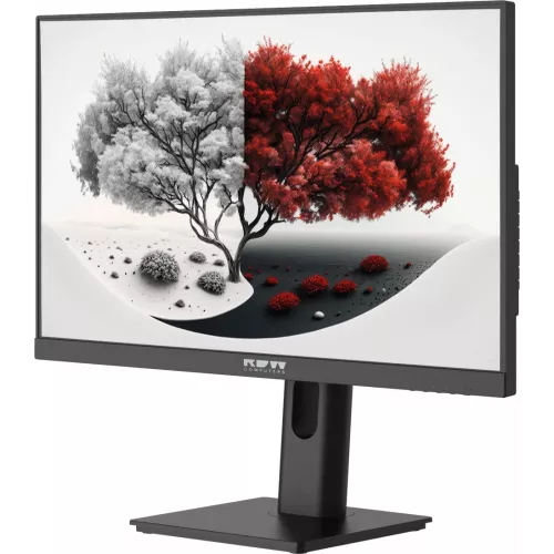 Монитор RDW Computers 23.8" RDW2401K черный IPS 4ms 16:9 HDMI матовая 300cd 178гр/178гр 1920x1080 100Hz VGA DP FHD 4.185кг (RUS)