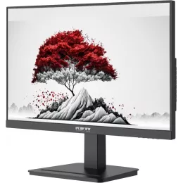 Монитор RDW Computers 23.8" RDW2401K черный IPS 4ms 16:9 HDMI матовая 300cd 178гр/178гр 1920x1080 100Hz VGA DP FHD 4.185кг (RUS)