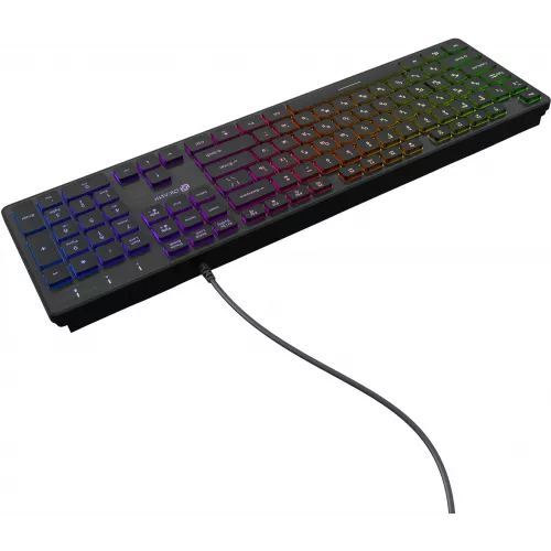 Клавиатура Оклик 550ML черный USB slim Multimedia LED (1061617) кабель 1.5м