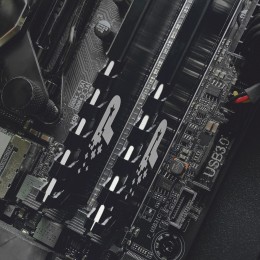 Память DDR4 16Gb 3200MHz Patriot PSP416G320081H1 Signature Premium RTL PC4-25600 CL22 DIMM 288-pin 1.2В single rank с радиатором Ret