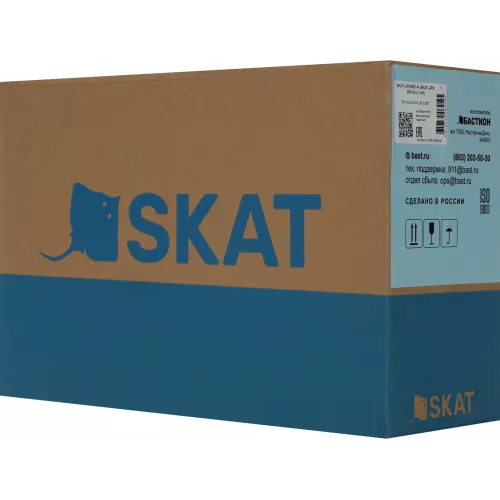 Источник бесперебойного питания Бастион Skat 800 AI 480Вт 800ВА черный