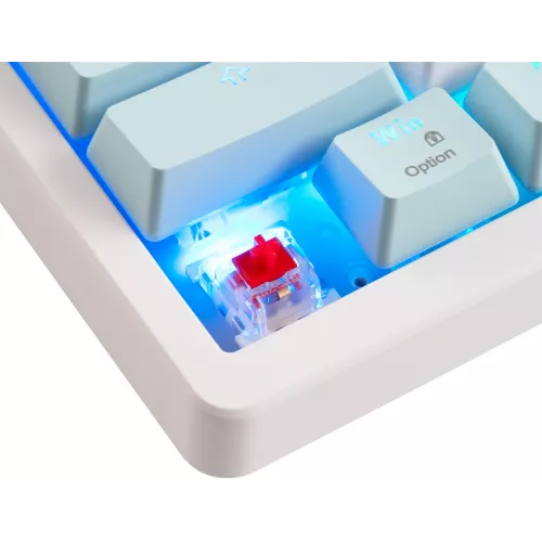 Клавиатура Acer OKW304 механическая белый USB for gamer LED (ZL.KBDCC.01V) кабель 1.8м