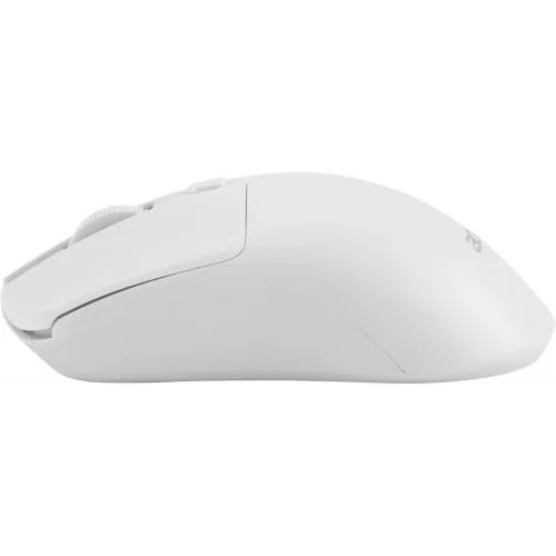 Мышь Acer OMR501 белый оптическая 1600dpi silent беспров. USB 4but (ZL.MCE11.018)