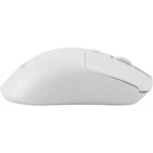 Мышь Acer OMR501 белый оптическая 1600dpi silent беспров. USB 4but (ZL.MCE11.018)