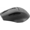 Мышь A4Tech Fstyler FG30 серый оптическая 2000dpi беспров. USB 6but (FG30 GREY)