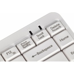 Клавиатура A4Tech FK11 белый USB slim (FK11 USB (WHITE)) кабель 1.5м
