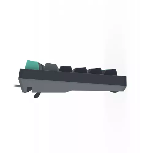 Клавиатура A4Tech FS300 механическая черный/серый USB for gamer LED (FS300 PANDA ROCK) кабель 1.8м
