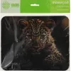 Коврик для мыши Cactus Leopard рисунок 250x200x3мм (CS-MP-D06S)