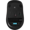 Мышь A4Tech Fstyler FG10 черный/оранжевый оптическая 2000dpi беспров. USB 4but (FG10 ORANGE)