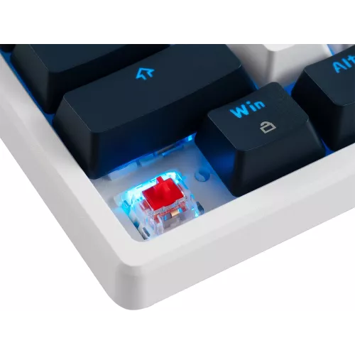 Клавиатура Acer OKR302 механическая белый USB беспроводная BT/Radio for gamer LED (ZL.KBDEE.016) кабель 1.6м