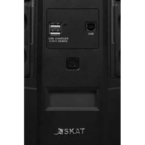 Источник бесперебойного питания Бастион Skat 800-AID-IN-1x9-8 480Вт 800ВА черный