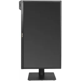 Монитор Asus 23.6" ProArt PA24US черный IPS LED 16:9 HDMI M/M матовая HAS Piv 600cd 178гр/178гр 3840x2160 60Hz DP Quad 4K (2160p) USB 6кг