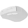 Мышь A4Tech Fstyler FG30S белый/серый оптическая 2000dpi silent беспров. USB 6but (FG30S WHITE)