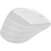 Мышь A4Tech Fstyler FG30S белый/серый оптическая 2000dpi silent беспров. USB 6but (FG30S WHITE)
