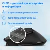 Мышь Оклик 502MW черный оптическая 2400dpi silent беспров. BT/Radio USB для ноутбука 9but (1978678)