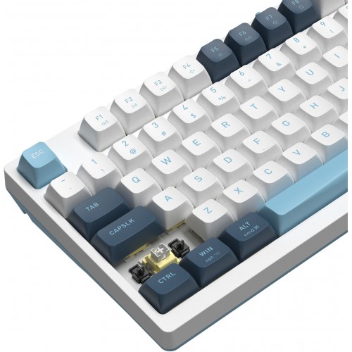 Клавиатура A4Tech FS300 механическая белый/синий USB for gamer LED (FS300 PANDA SNOWBOARDING) кабель 1.8м