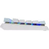 Клавиатура A4Tech FS100 механическая синий USB for gamer LED кабель 1.8м