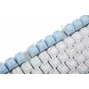 Клавиатура A4Tech FS100 механическая синий USB for gamer LED кабель 1.8м