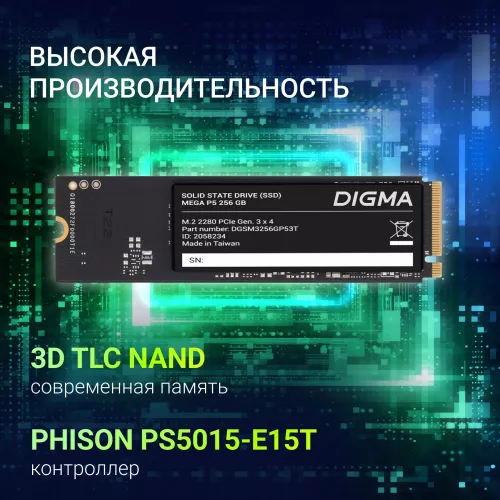 Накопитель SSD Digma PCIe 3.0 x4 256GB DGSM3256GP53T Mega P5 M.2 2280