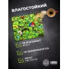 Коврик для мыши Cactus Frogs 300x250x3мм (CS-MPC-D09M)