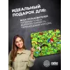 Коврик для мыши Cactus Frogs 300x250x3мм (CS-MPC-D09M)