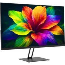 Монитор Digma Pro 27" Motion L черный IPS LED 5ms 16:9 HDMI M/M матовая 350cd 178гр/178гр 2560x1440 144Hz G-Sync FreeSync DP 2K 3.85кг