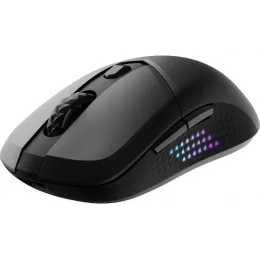 Мышь MSI VERSA 300 ELITE W черный оптическая 26000dpi беспров. BT/Radio USB 5but (S12-4301290-CLA)
