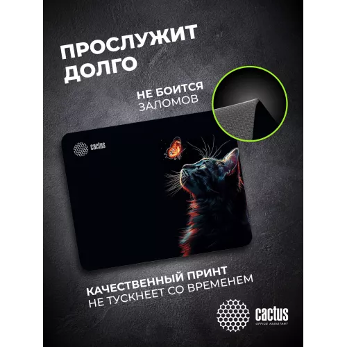 Коврик для мыши Cactus Night Cat 220x180x2мм (CS-MPC-P12XS)
