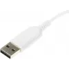 Мышь A4Tech Fstyler FM12 белый оптическая 1200dpi USB 3but (FM12 WHITE)