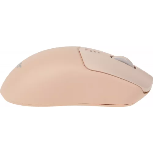 Мышь Acer OMR312 розовый оптическая 3200dpi беспров. BT/Radio USB 5but (ZL.MCECC.036)