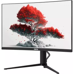 Монитор RDW Computers 27" RDW2706C (Q03В375V2A1) черный VA 1ms 16:9 HDMI M/M матовая HAS Piv 4000:1 300cd 178гр/178гр 2560x1440 75Hz DP QHD USB (RUS)