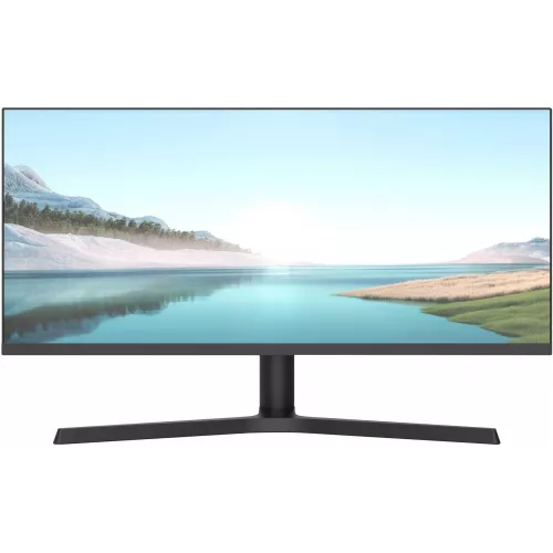 Монитор NPC 29" MZ300L черный IPS LED 21:9 (Ultrawide) HDMI M/M матовая HAS 1000:1 250cd 178гр/178гр 2560x1080 180Hz G-Sync FreeSync DP Ultra WQHD 5.2кг