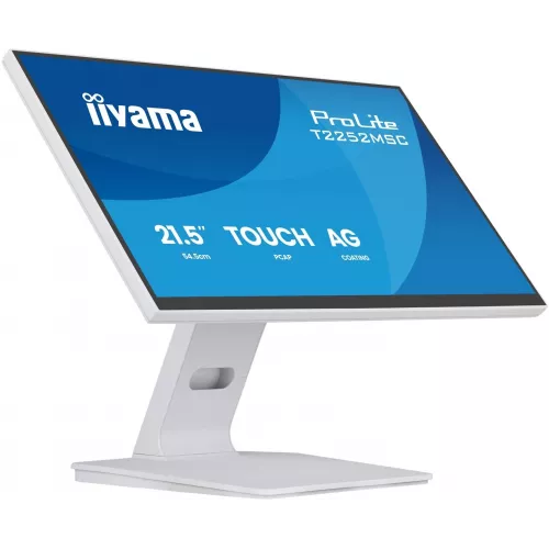 Монитор Iiyama 21.5" ProLite T2252MSC-W2AG белый IPS LED 5ms 16:9 HDMI M/M матовая 250cd 178гр/178гр 1920x1080 60Hz DP FHD USB Touch 4.5кг