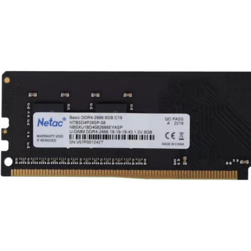 Память DDR4 8Gb 2666MHz Netac NTBSD4P26SP-08 Basic RTL PC4-21300 CL19 DIMM 288-pin 1.2В single rank Ret