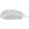 Мышь MSI Clutch GM11 белый оптическая 5000dpi USB 5but (S12-0401970-CLA)