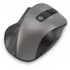 Мышь Оклик 504MW черный/серый оптическая 1600dpi silent беспров. USB 6but (2004736)