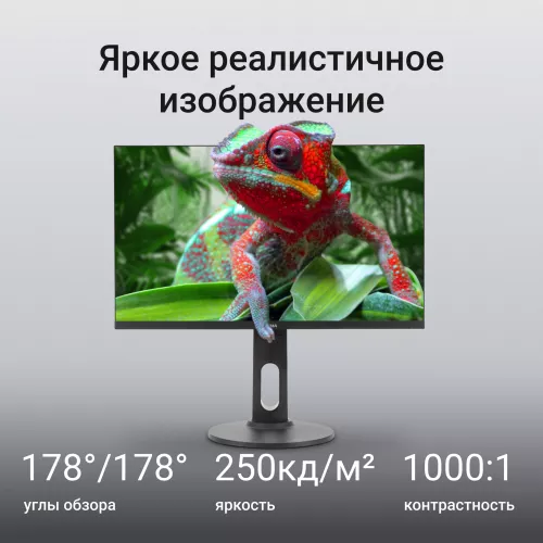 Монитор Digma 23.8" Progress 24P505F черный IPS LED 16:9 HDMI M/M матовая HAS Piv 250cd 178гр/178гр 1920x1080 100Hz G-Sync FreeSync VGA DP FHD 4.8кг