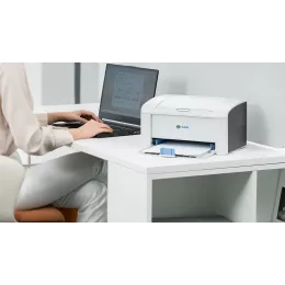 Принтер лазерный G&G P2022 A4 белый (в комплекте: картридж + кабель USB A(m) - USB B(m))