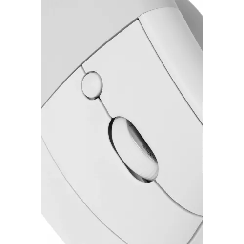 Мышь Logitech Lift белый оптическая 4000dpi silent беспров. BT/Radio USB для ноутбука 5but (910-006486)