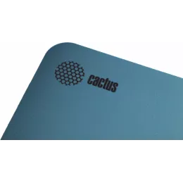 Коврик для мыши Cactus Owl blue 220x180x2мм (CS-MPC-P07XS)