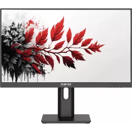 Монитор RDW Computers 27" RDW2701K черный IPS 5ms 16:9 HDMI M/M матовая 1000:1 300cd 178гр/178гр 1920x1080 120Hz VGA DP FHD (RUS)