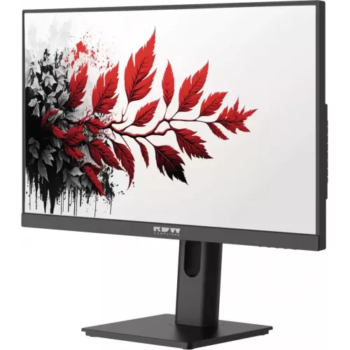 Монитор RDW Computers 27" RDW2701K черный IPS 5ms 16:9 HDMI M/M матовая 1000:1 300cd 178гр/178гр 1920x1080 120Hz VGA DP FHD (RUS)