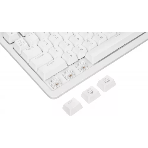 Клавиатура Logitech K868 механическая белый USB беспроводная BT/Radio (920-013913)