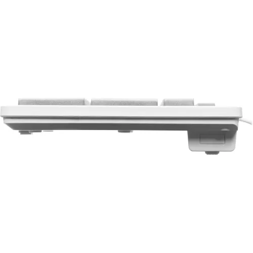 Клавиатура Оклик 550ML белый USB slim Multimedia LED (1061618) кабель 1.5м