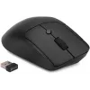 Мышь Оклик 501MW черный оптическая 2400dpi беспров. USB 7but (1877553)