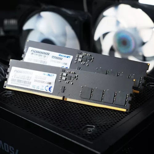 Память DDR5 16GB 6400MHz Patriot PSD516G64081C Signature RTL PC5-51200 CL52 DIMM 288-pin 1.1В single rank Ret